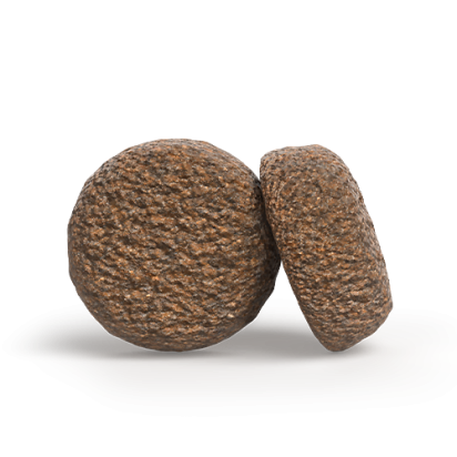 A/S ADULT ACTIVE NATURE    zloženie