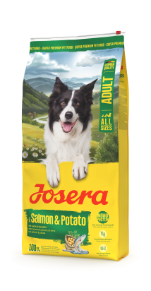A/S ADULT SALMON & POTATO  