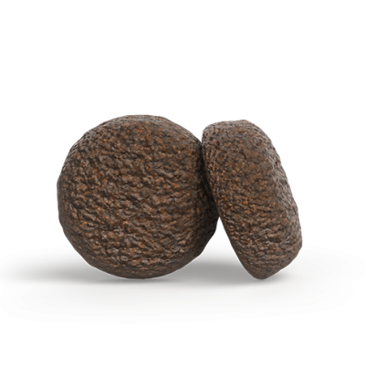 A/S JUNIOR YOUNGSTAR    zloženie