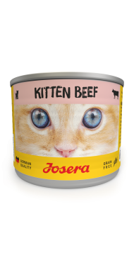 Vlhké krmivo Kitten Beef