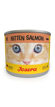 Vlhké krmivo Kitten Salmon