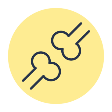 Stavba kostí