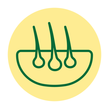 Monoproteín – zdroj živočíšnych bielkovín